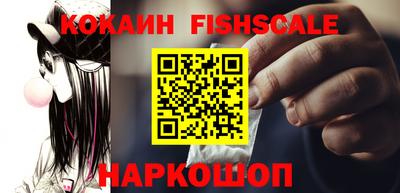 МДПВ Камышлов